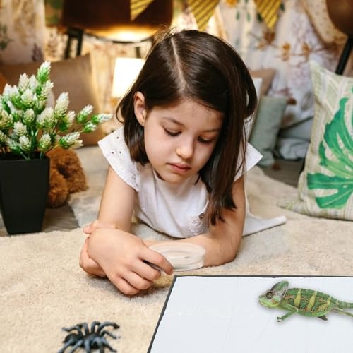 Almohadilla térmica para reptiles con película reflectante y calentador miniatura 4