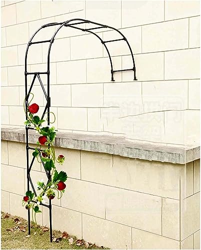 Arche de rose décorative en métal noir de 2.4m, tonnelle robuste pour vignes - 2