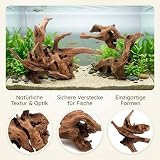 LMJOPYQ 4 bois flottés de 5 à 15 cm pour terrarium photo 3