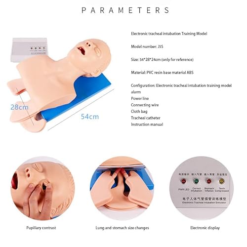 Medical Science Electronic Human Tracheal Training Model Intubation Training Manikin #TOP4
