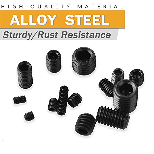VIGRUE 300Pcs M2.5/M3/M4/M5/M6/M8 Hex Allen Head Socket Set Screw Bolts Assortment Kit Grub Screw with Internal Hex Drive (Black)