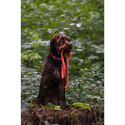 Verstellbares Halsband - reflektierend, neon orange, 30-45 cm