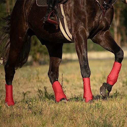 Image of Harrison Howard Splint Boots for Horses 4 Pack, Front & Hind Horse Sport Boots with Neoprene Leg Protection