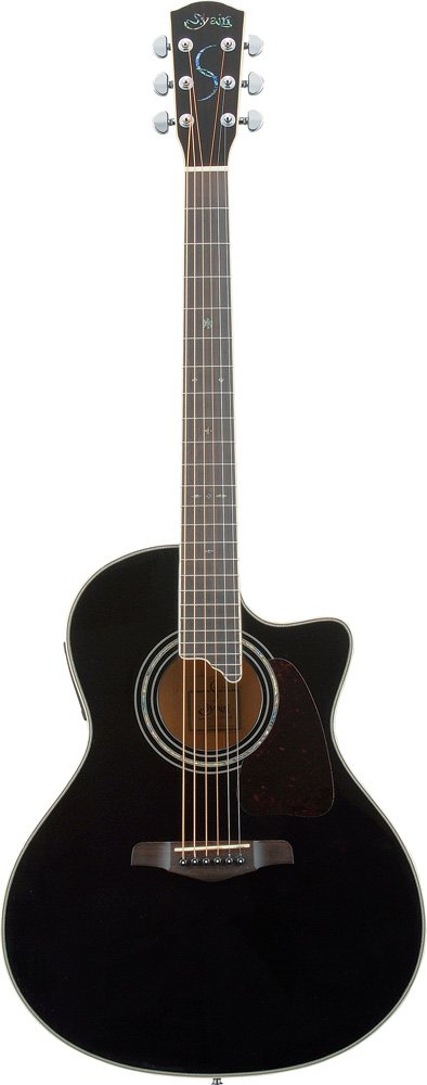 Amazon | S.Yairi ヤイリ E-Acoustic Series エレクトリック