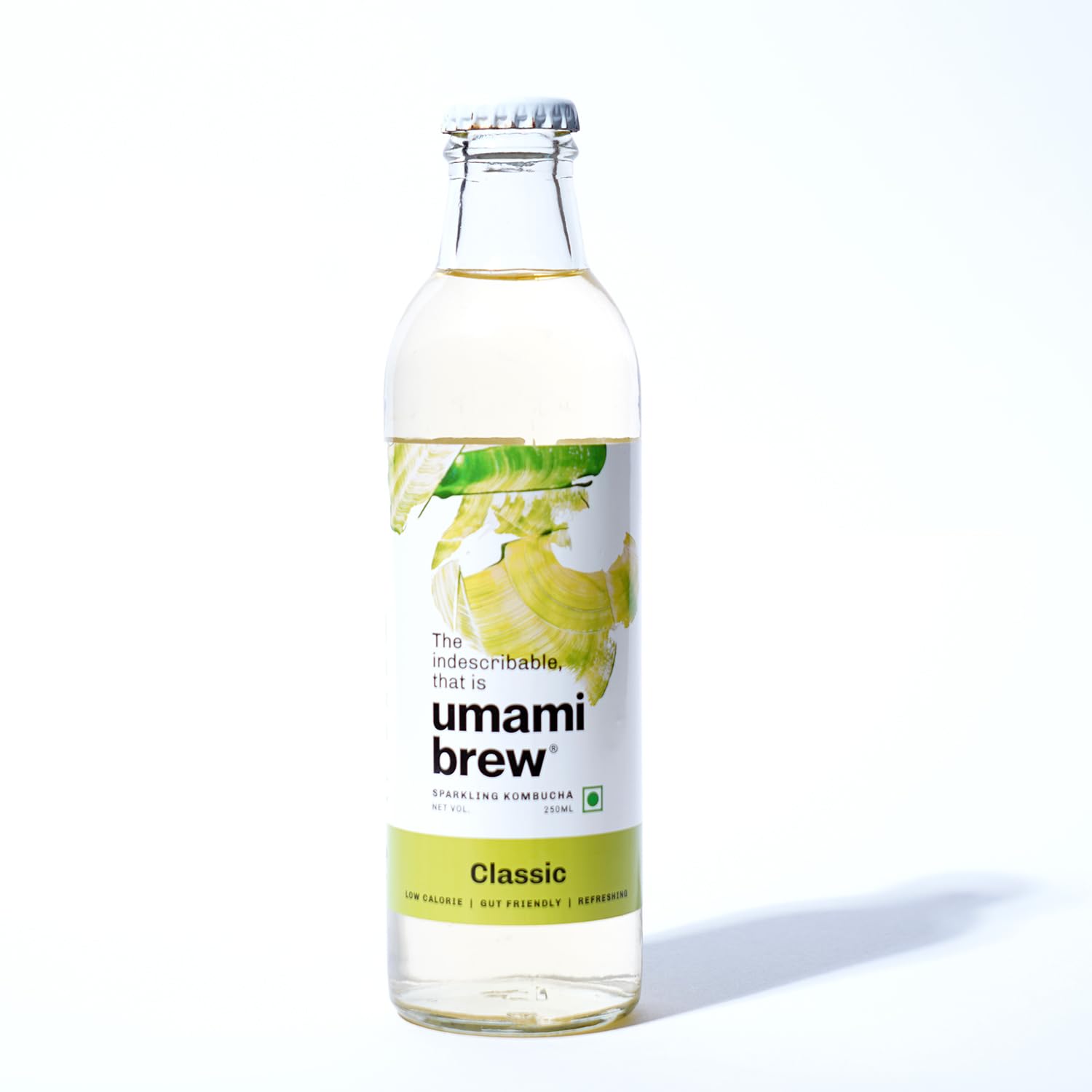 Umami Brew Sparkling Kombucha | Classic Flavor | All-Natural Fermented Drink | Gut-Friendly & Antioxidant-Rich | Pack of 12 x 250ml