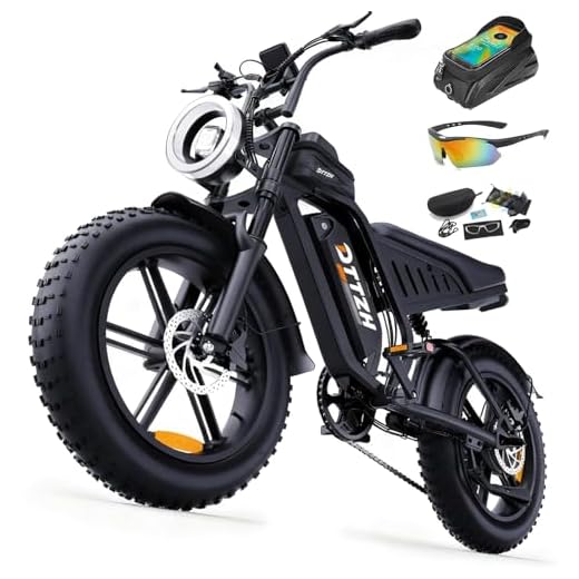 DTTZH F6 1500W Fat-Tire Electric Mountain Bike