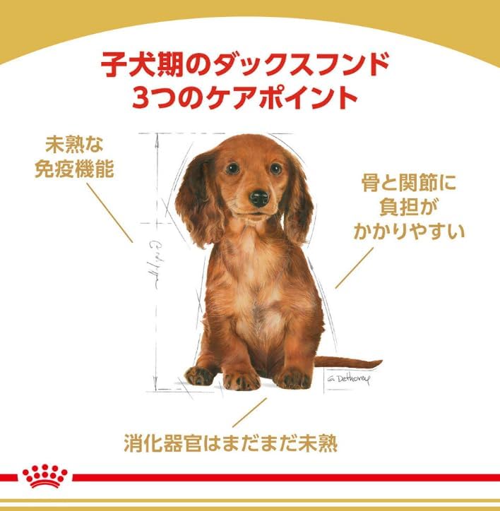 ロイヤルカナン BHN ダックスフンド 子犬用 1.5kg&times;3個セットニューパッケージ