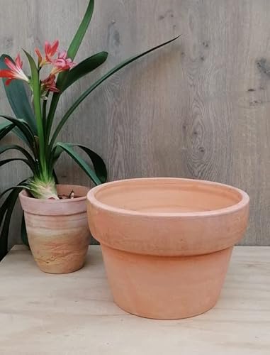 B-Ware !! Blumentopf ø ca. 31 cm echt Terrakotta Übertopf für Garten und Wohnung Terracotta Pflanzgefäß B-Ware !! Blumentopf ø ca. 31 cm echt Terrakotta Übertopf für Garten und Wohnung Terracotta Pflanzgefäß