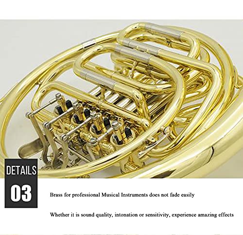 Single Row French Horn/Brass Lacquer Gold Craft French Horn/Includes Musical Instrument Box For Beginners (Double Row Four Keys) #TOP4