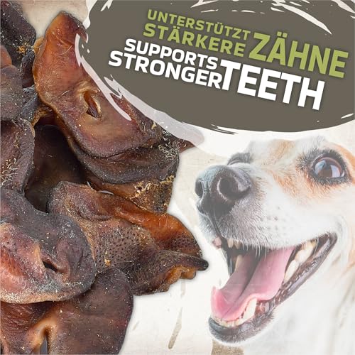 Schweinenasen Naturprodukt für Hunde 500g (ca. 15-20 Stück) | Getrocknete Schweinenasen Kausnack | Gesunde Hundesnacks zur Zahnpflege | Proteinquelle | Ideal für Diät und Langzeitbeschäftigung