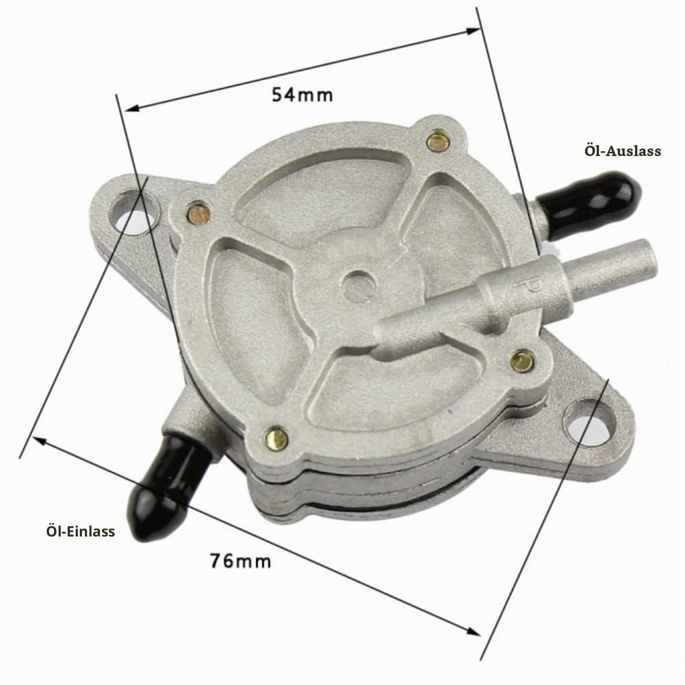 Terisass Kraftstoffpumpe Gaspumpe Roller Vakuum Kraftstoffpumpe Range Extender Pump