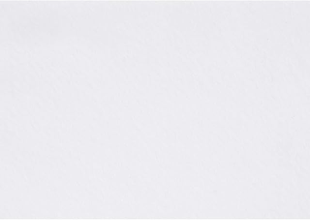 Creativ 100263 Company 10-Piece Craft Felt, White