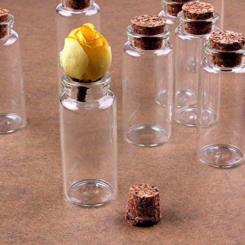 TININNA Bottigliette Bottiglie di Vetro Vuoto Mini...