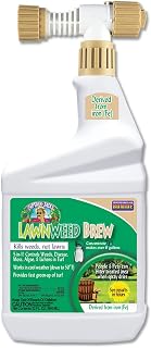 Bonide Captain Jack's Lawnweed Brew 32 oz Ready-to-Spray: Iron-Based Weed Moss Algae Killer for Lawns