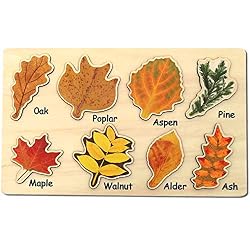 Beautiful wooden leaf puzzle