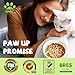 PAWUP Freeze Dried Chicken for Dogs Cats, High Protein Raw Dog Food Topper, Single Fresh Ingredient Treats, 4.6oz, Rawhide Free