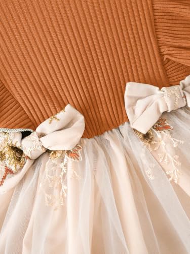 Image of Tagas Girls' Princess Dress for Girls ||Fancy Dress|| Birthday Frock for Girl