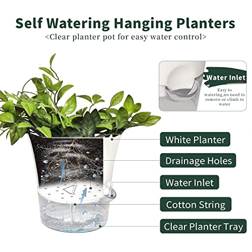 Berzger 2 Pack Self Watering Hanging Planters For Indoor Plants, Macrame Plant Hangers Holders With Pots, 6'' Decorative Modern Plastic Planters With Drainages And Trays. #TOP1