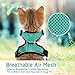 rabbitgoo Cat Harness and Leash for Walking, Escape Proof Soft Adjustable Vest Harnesses for Cats, Easy Control Breathable Reflective Strips Jacket, Emerald, XS