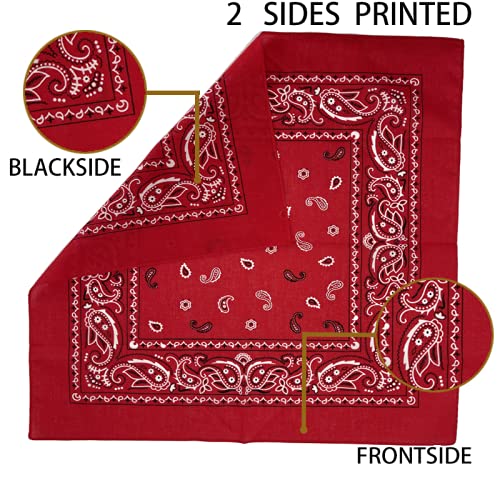 HankieWorld Bandanas 6 pack 12 pack 22 inch Cotton Paisley Kerchiefs for Men and Women (Red-6 pack)