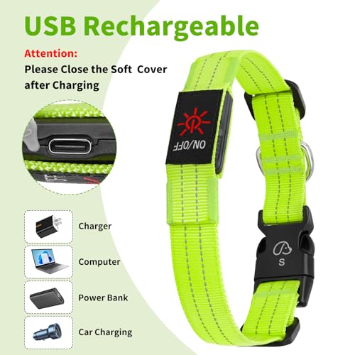 Light Up Dog Collars - Image 3