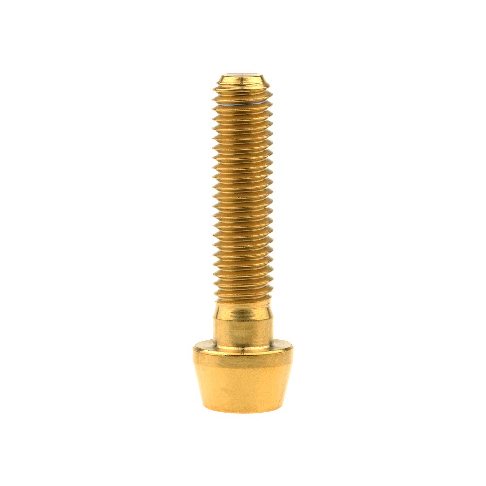 RITTAL Schrauben-Set RITTAL Innensechskantschraube Flachkopf M5x16mm ST G Vz Cs0h7x0fl