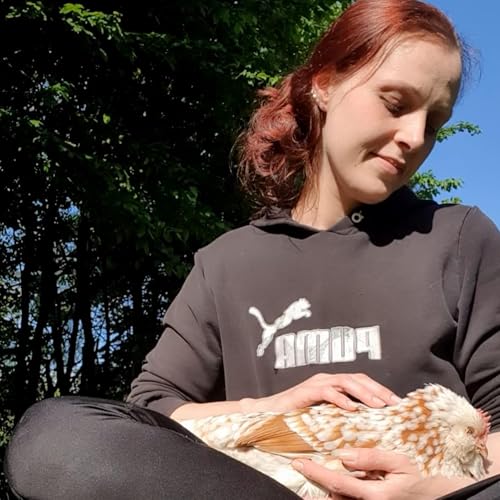 H&uuml;hnerhaltung im Garten - Plauderstunde mit Julia von @juulias_tierwelt #33