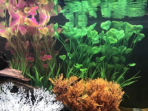 BEGONDIS 2 piante acquatiche artificiali, decorazioni per acquario, realizzate in plastica morbida, ideali per tutti i pesci e gli animali domestici (pianta grande - verde) - Image 5
