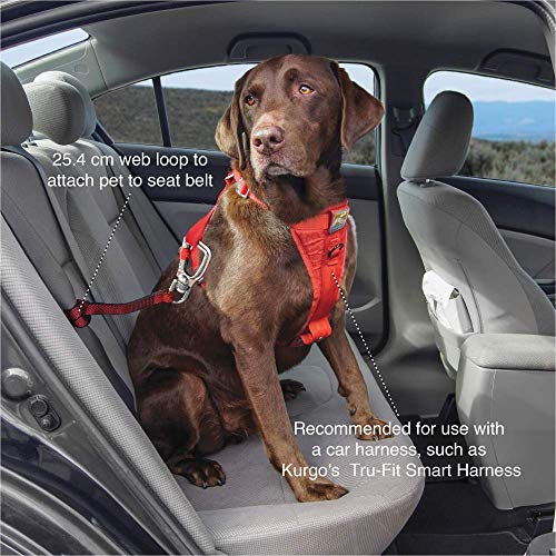Kurgo Seatbelt Swivel Tether, Dog Safety Tether with Carabiner, Tangle-Free, Universal Fit, Red - 3