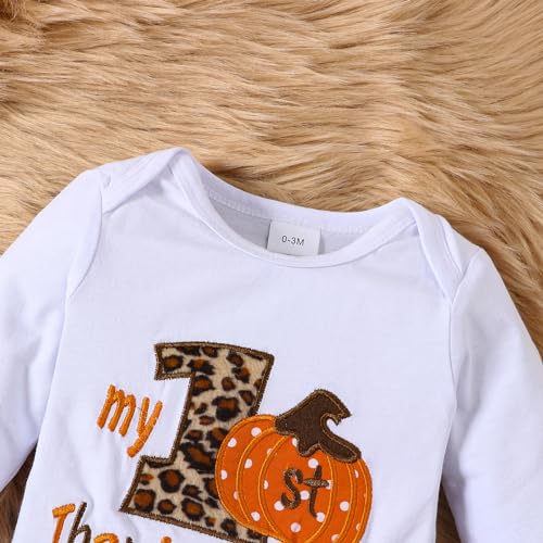 Newborn Baby Girl My 1st Thanksgiving Outfit Romper Top, Mesh Short Pants, Leg warmers with Headband Clothes Set4