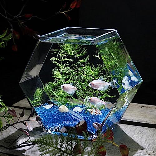 Aquarium pour poisson de combat en verre hexagonal de grande taille robuste - 5