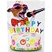 Beacon Streets Singing Dog Happy Birthday Cards, 5 Pack. This Pup Knows How to Get Down & Party! Premium Greeting Card & Envelopes Value Set. Great Funny Gift for Kids, Boys, Girls & Pet Lovers.