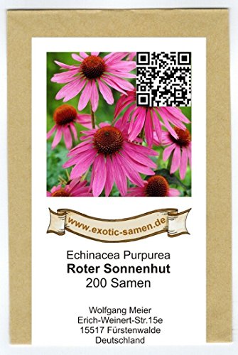 Roter Sonnenhut - Echinacea purpurea - Bienenweide - Zier- / Arzneipflanze - 200 Samen – Bild 3