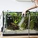 MIPIACE 50 Stück Aquarium Saugnapf Clips Saugnäpfe Aquarium Transparent Klein Aquarium Saugnapf Halter für 4-6mm Aquarien Luftschlauch