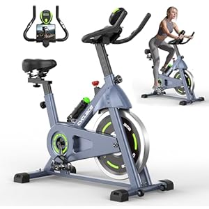 Cyclace Exercise Bike, Brake Pad Indoor Cycling Bike Stationary, Low Noise, 300lbs Weight Capacity
