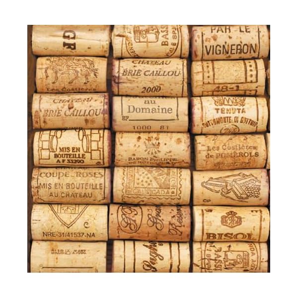 Bundle of 2 packages wine cellar and wine cork paper cocktail beverage napkins 40 pieces  urban country home decor