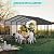 12x20 FT Metal Carport, Outdoor Car Garage with Galvanized Steel Roof & Frame, Large Metal Carport Kit, Heavy Duty Car Port Canopy, Steel Car Shelter for Car, Boat, Truck, Black