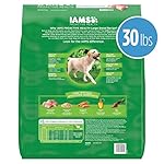IAMS Adult High Protein Large Breed Dry Dog Food with Real Chicken, 30 lb. Bag - Image 2