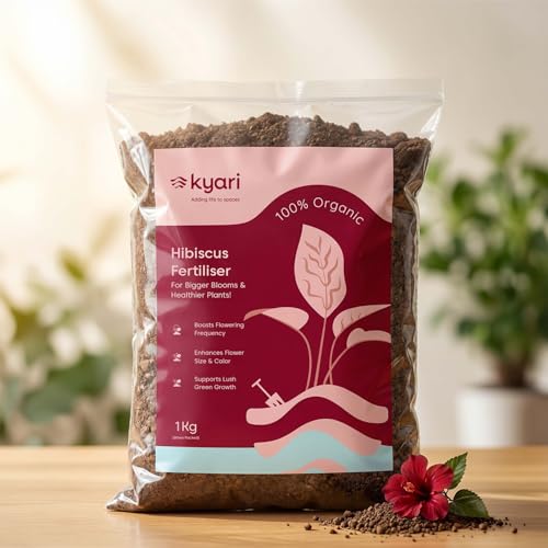 Image of Kyari Hibiscus (Gudhal) Fertilizer for Flowering Plants 1kg | Plant Food for Bigger Blooms, Greener Leaves & Stronger Roots | Nutrient-Rich Fertilizer for Home Garden Plants