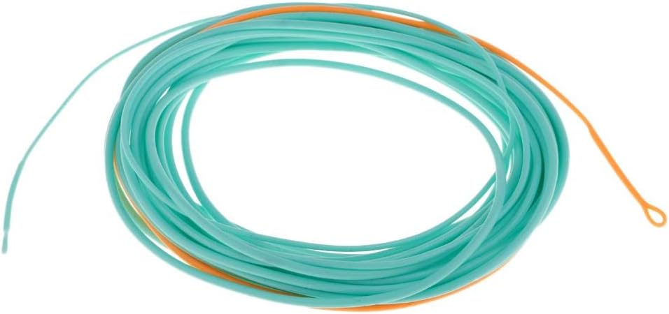 Skagit Head Floating Fly Fishing Line for Long Casting & Fast Action - Powerful Front End, Low Stretch Core, Blue/Orange Color - for Fast Flowing Water, Perfect for Experienced - 20FT 300gr