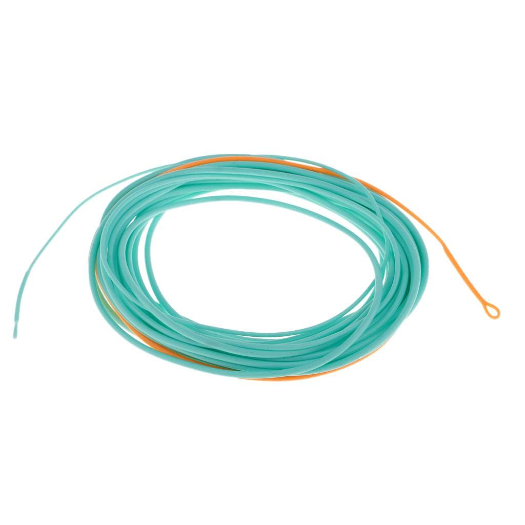 Skagit Head Floating Fly Fishing Line for Long Casting & Fast Action - Powerful Front End, Low Stretch Core, Blue/Orange Color - for Fast Flowing Water, Perfect for Experienced - 20FT 300gr