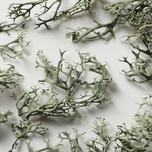 RALPH LAUREN EAU DE TOILETTE SPRAY/VAPORIZER 3.4 FL. OZ. 100 ml FOR MEN FSC MIX - Image 6