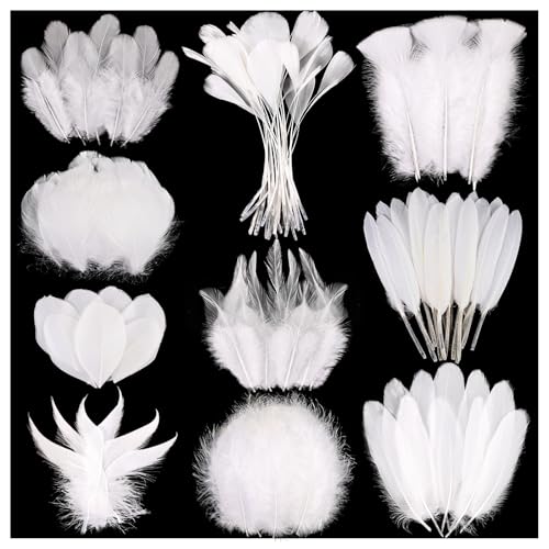 FeelfunFeather 300 pcs White Craft Feathers - 10 Style Mixed Decorative Natual Small Feather for DIY Crafts Clothing Jewelry Hair Wedding Party Decor