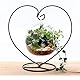 Fosinz Ornament-Präsentationsständer, Eisen-Hängeständer, Haken zum Aufhängen, Glaskugel, Luftpflanze, Terrarium, Ball, Weihnachtsdekoration, Heimdekoration, Hochzeitsdekoration