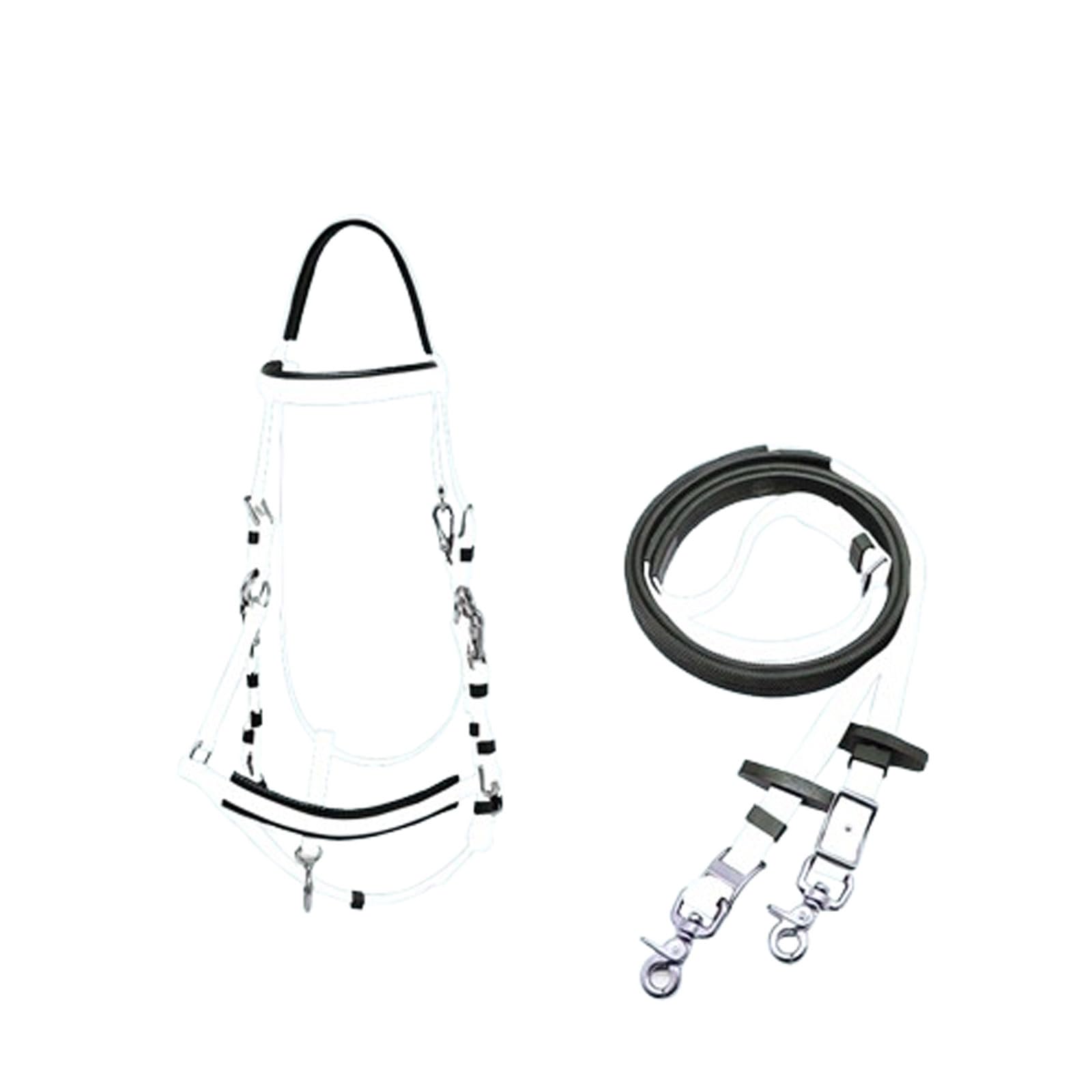 Cavezza Cavallo,Briglia Cavallo,Cavezza Regolabile,Adjustable Chin & Throat Snap Halters for Horses,Attrezzatura equestre,per ippodromi di Gare di Pratica su prateria