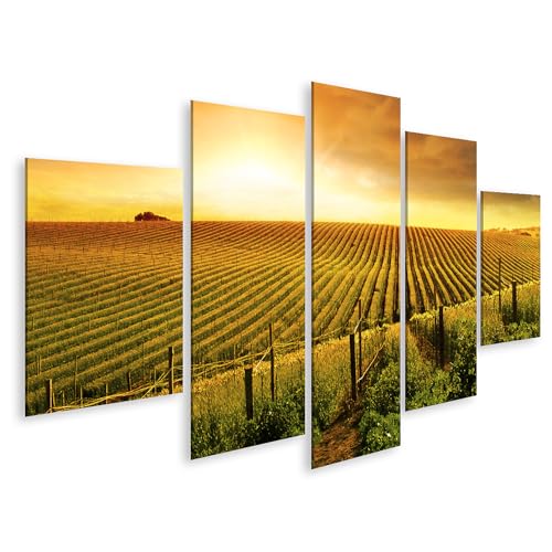 islandburner Cuadro de lienzo Imágenes de paisajes de la Toscana Aterradoramente hermoso atardecer en las viñas - Lienzo 170x80cm - 5 partes