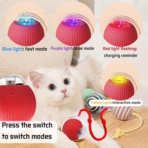 YOUYIKE Katzenball Interaktives Elektrisch Automatisch Katzenspielzeug Ball mit Schnur & Falscher Maus Selbstrollender Spielzeug Ball Cat Chase Running Toy für Hund