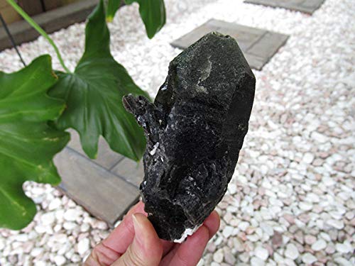 特大12.7kg　モリオン黒水晶　原石　天然　31cm石 山東省産 モリオン 純天然 黒水晶 原石 t460-7127 : 誠安天然石専門店