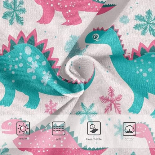 Wusikd Pink Teal Dinosaurs Girls' Underwear Cotton Snowflakes Girls Briefs Soft Toddler Underwear 2T3