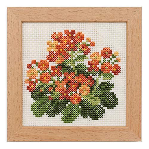 LECIEN 刺しゅうキット 小さな花のフレーム クロスステッチ カランコエ 882